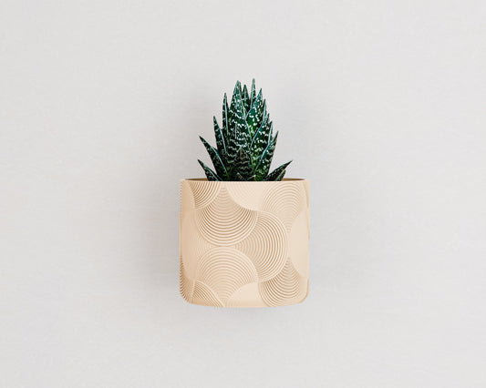 Wall Planter with Hidden Drip Tray