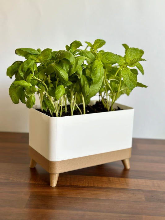 Herb planter
