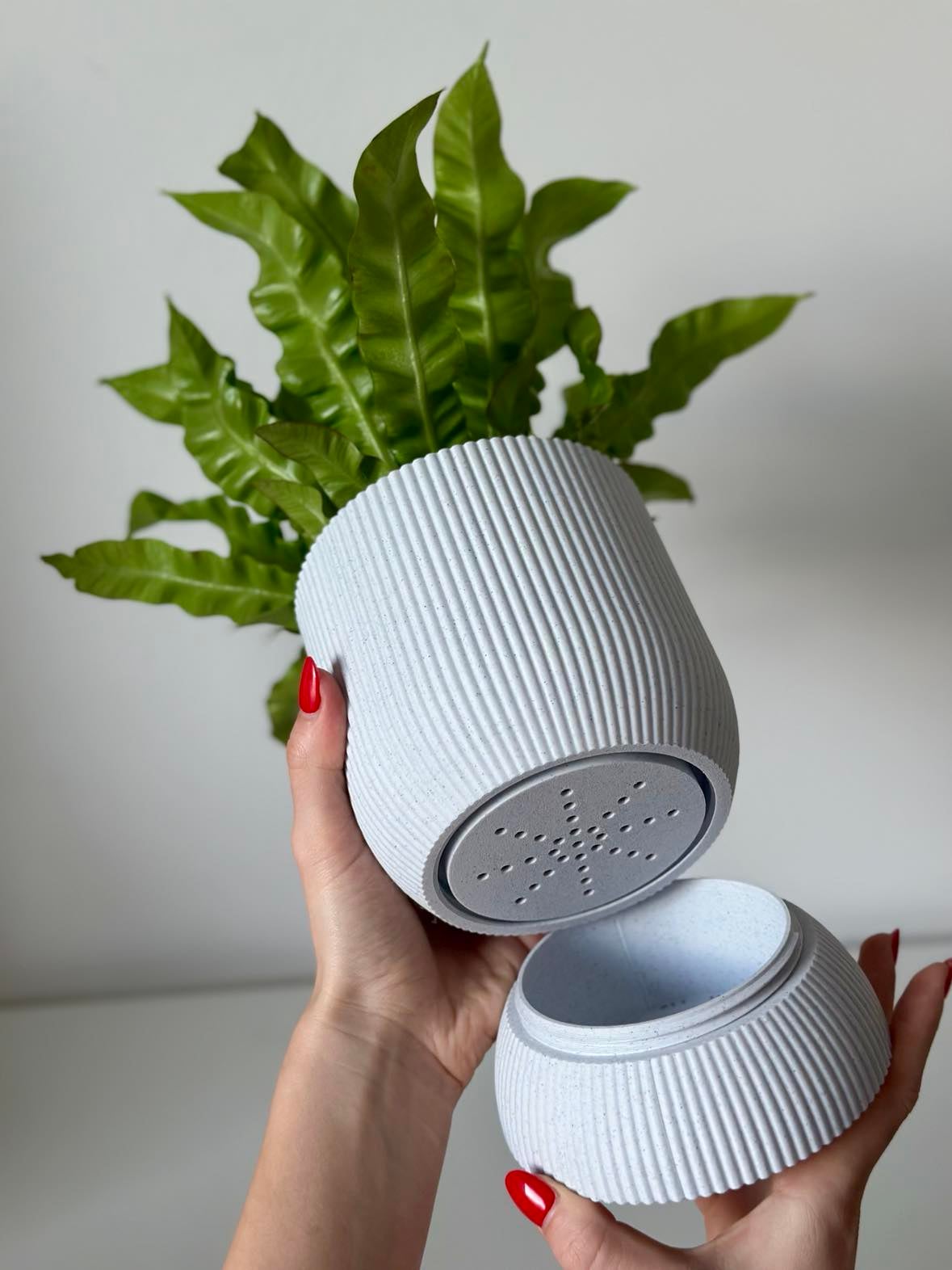 Kyma planter