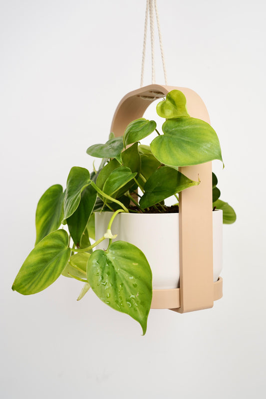 Hanging Planter