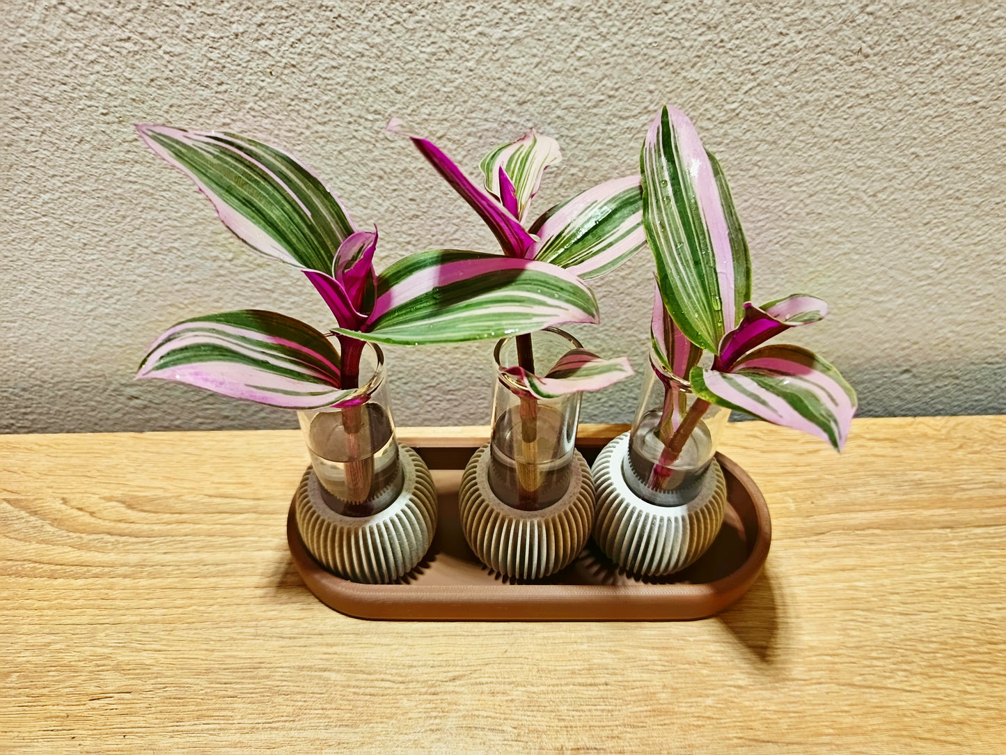 🌸 LUME Propagation Station