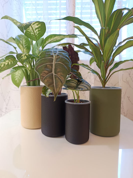 NestPot – Decorative Cage Cover for Aroid Nursery Pots