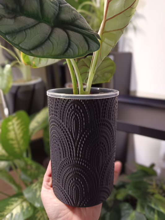 NestPot – Decorative Cage Cover for Aroid Nursery Pots