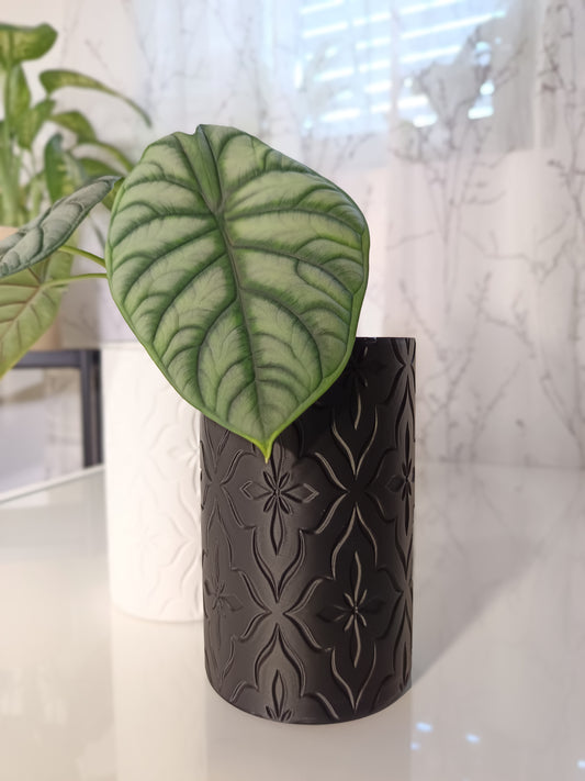 NestPot β Decorative Cage Cover for Aroid Nursery Pots