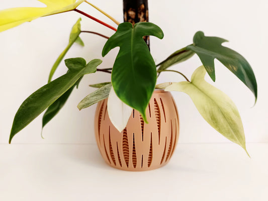 Matching Self Watering Planters Set