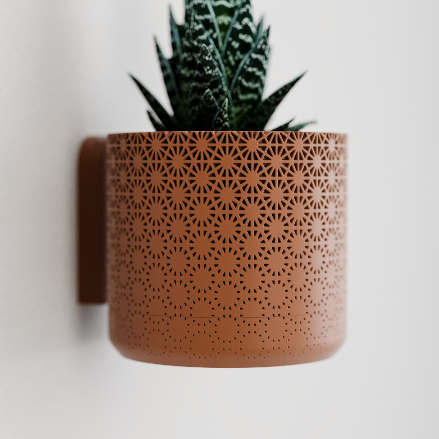 Wall Planter with Hidden Drip Tray