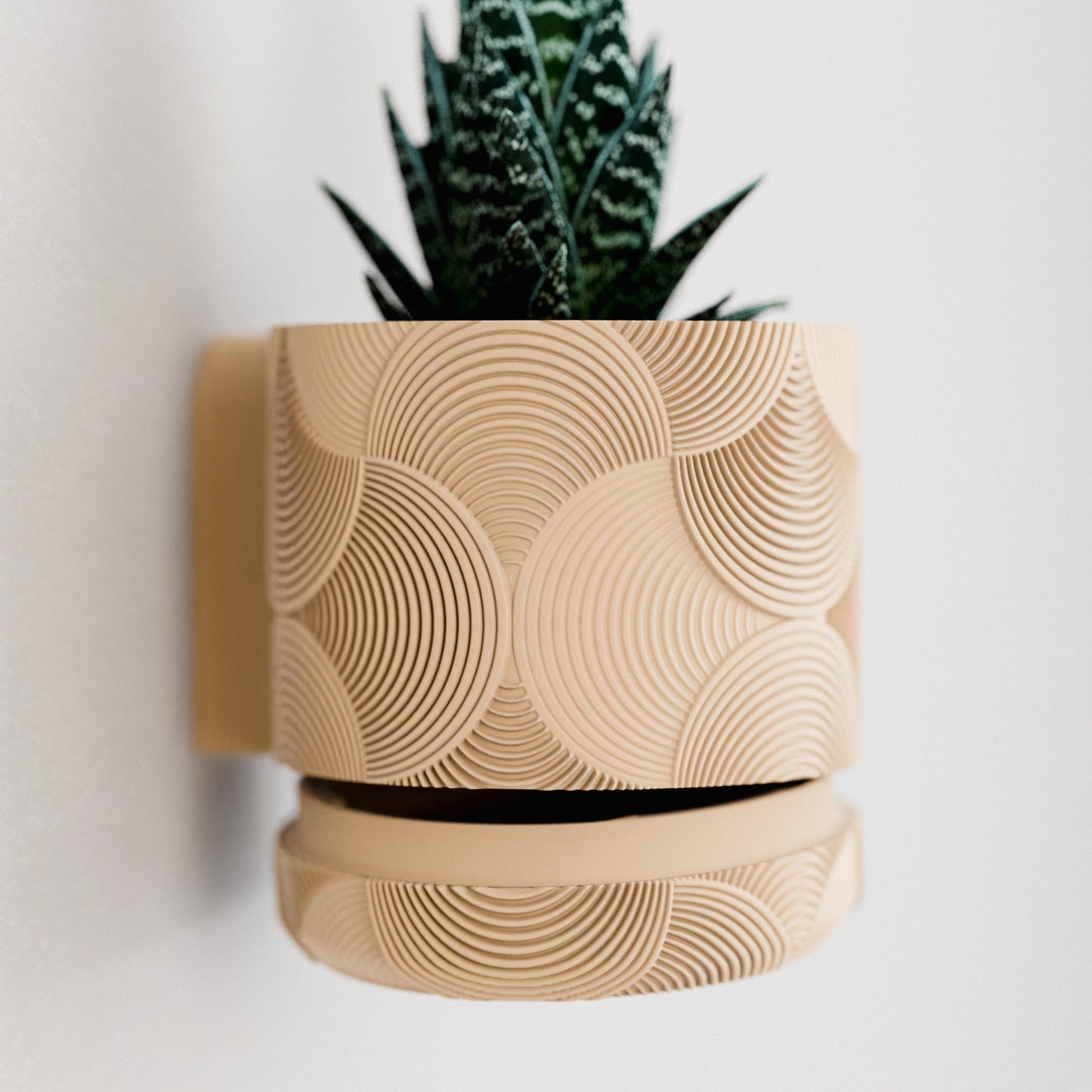 Wall Planter with Hidden Drip Tray