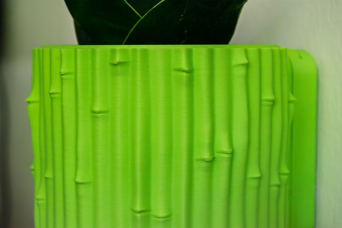 Wall Planter with Hidden Drip Tray