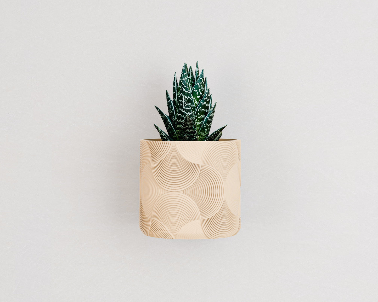 Wall Planter with Hidden Drip Tray