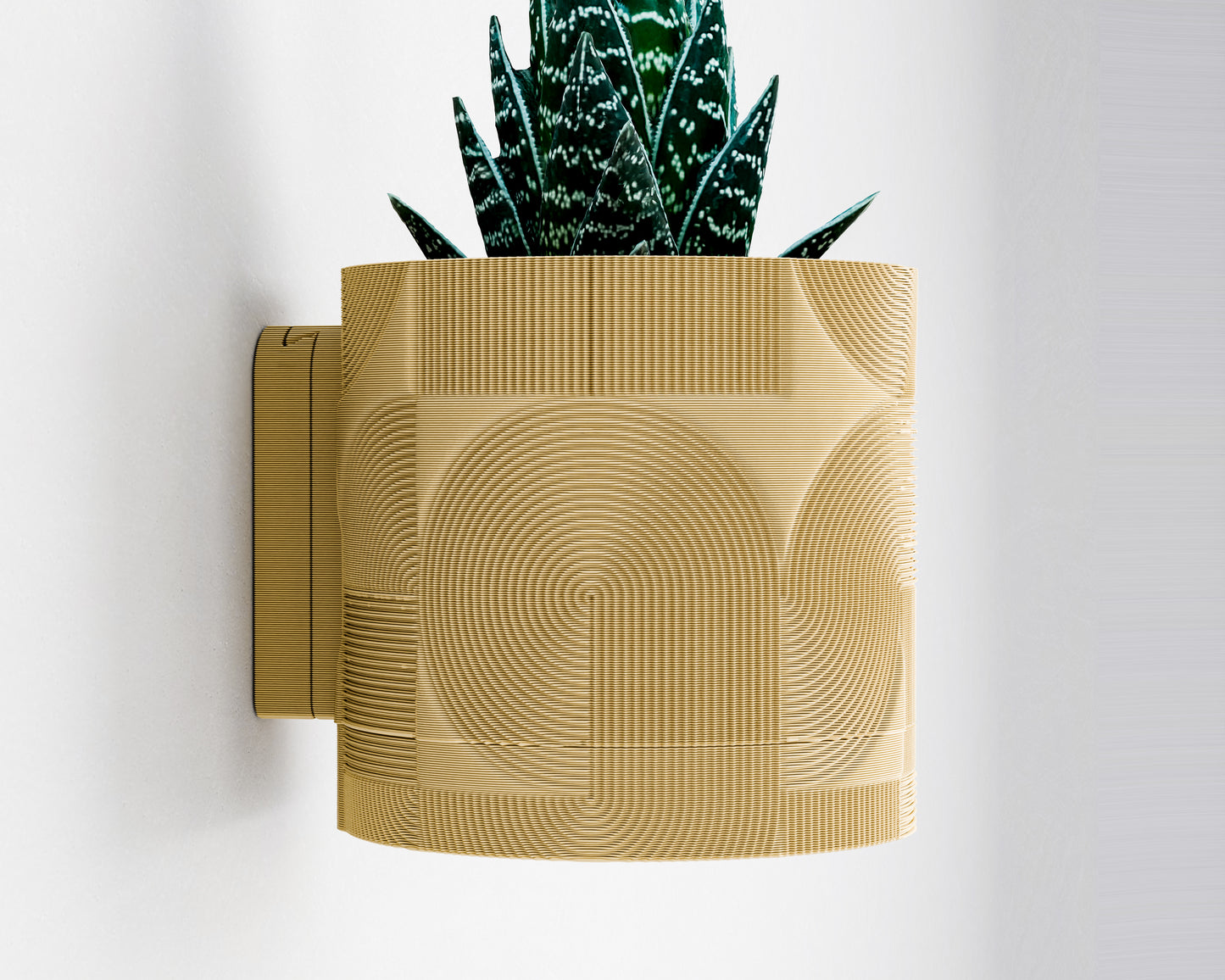 Wall Planter with hidden drip tray
