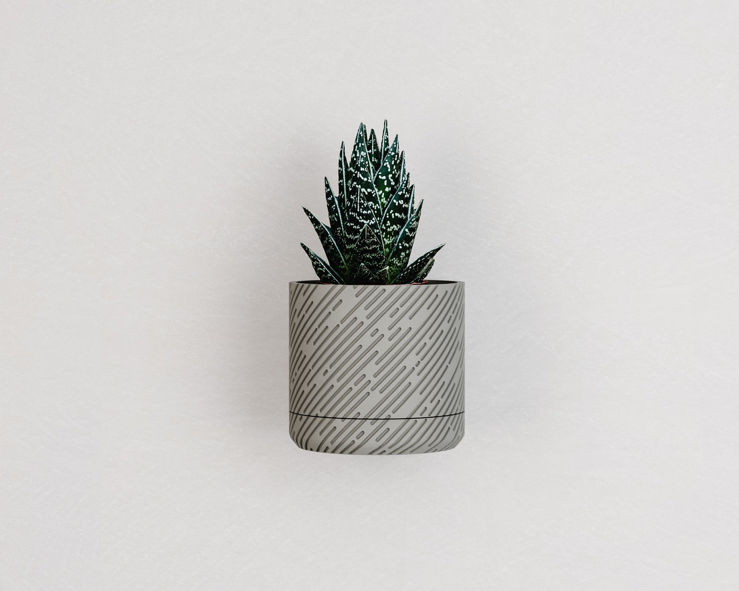 Wall Planter with Hidden Drip Tray