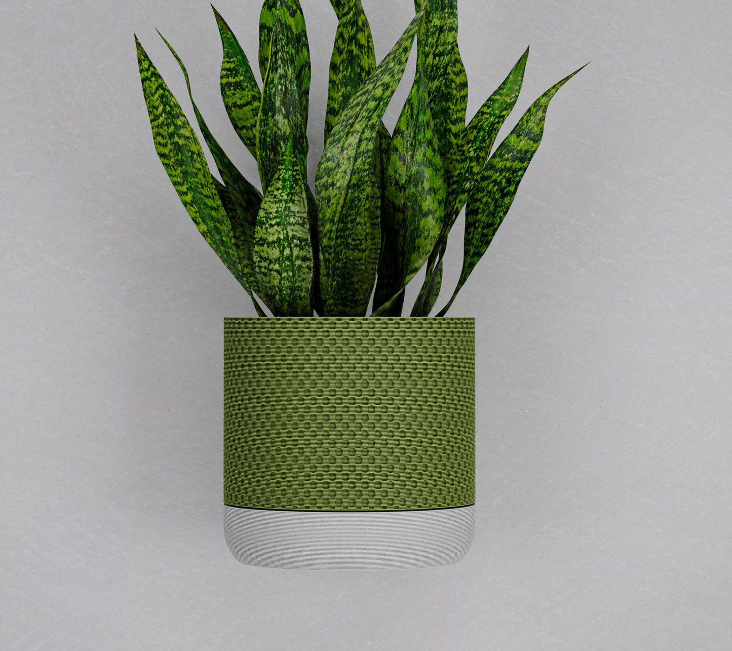 Wall Planter with hidden drip tray