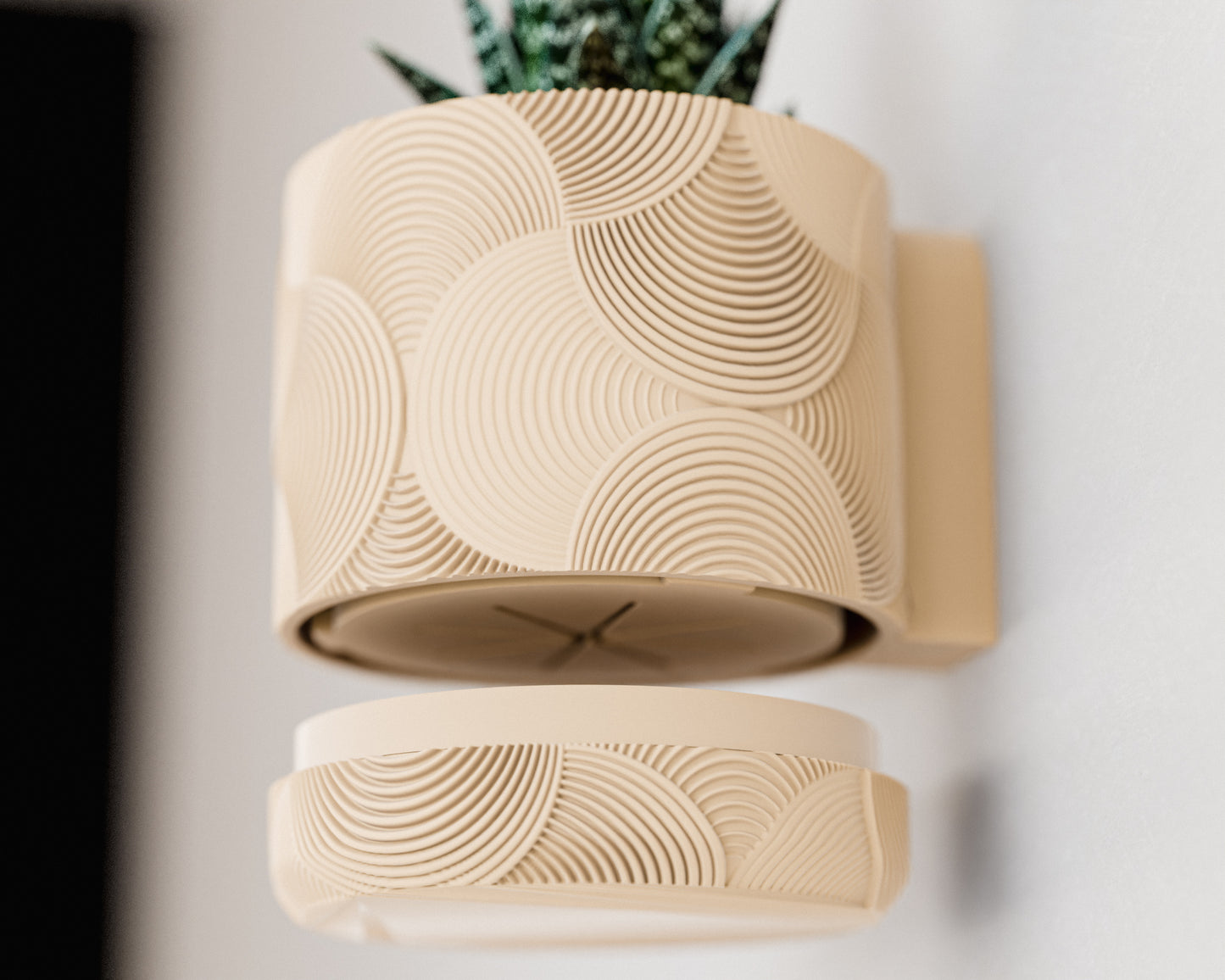 Wall Planter with Hidden Drip Tray