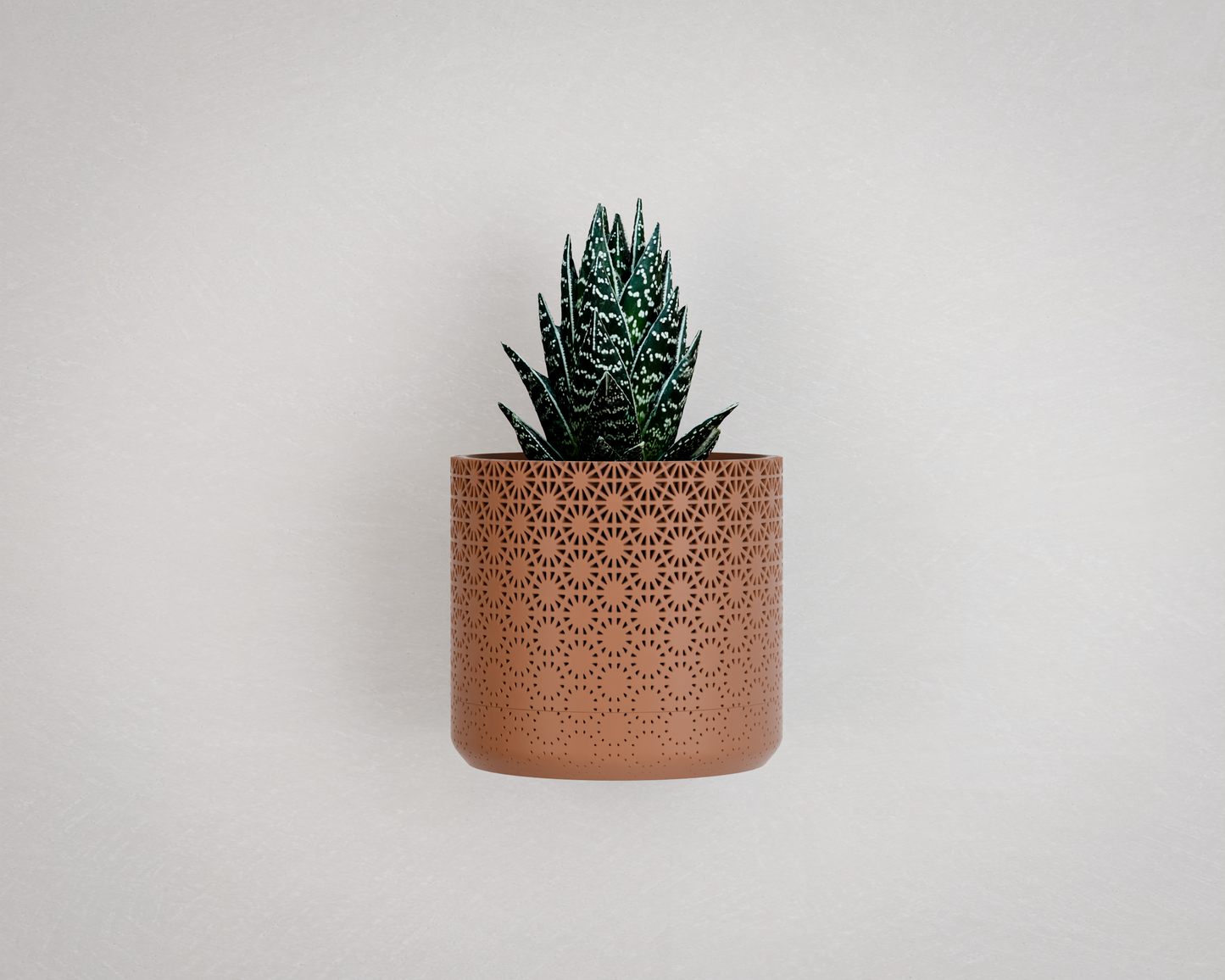 Wall Planter with Hidden Drip Tray