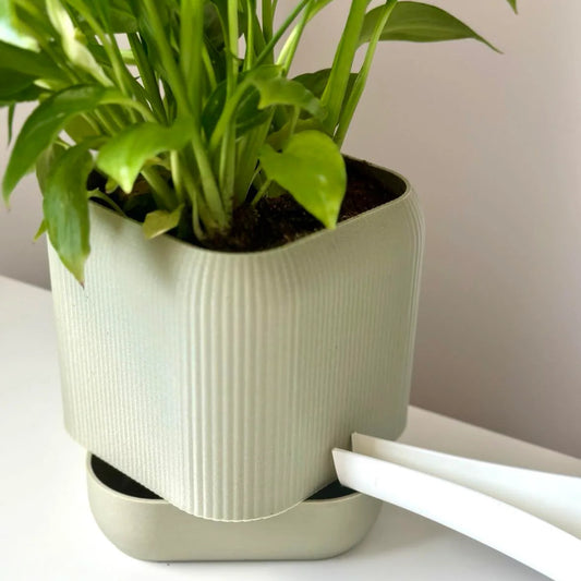Self watering planter Classy