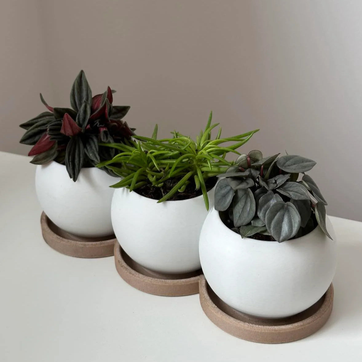 Trio planter