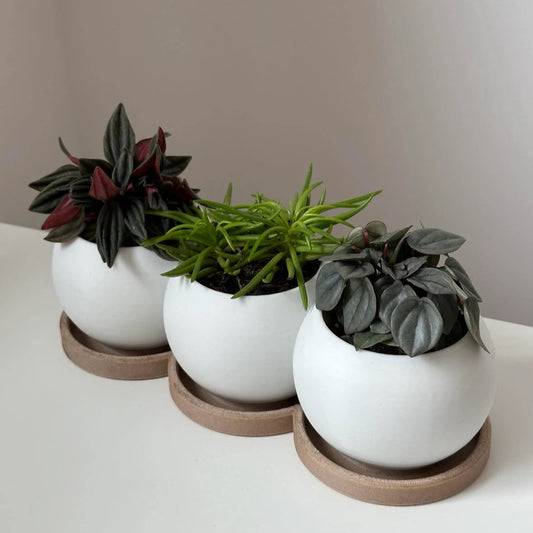 Trio planter