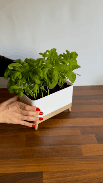 Herb planter