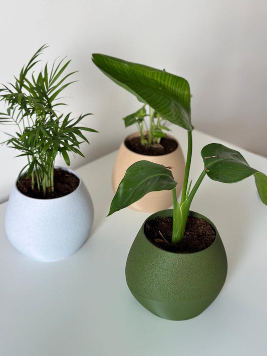 Self watering planter Dakri