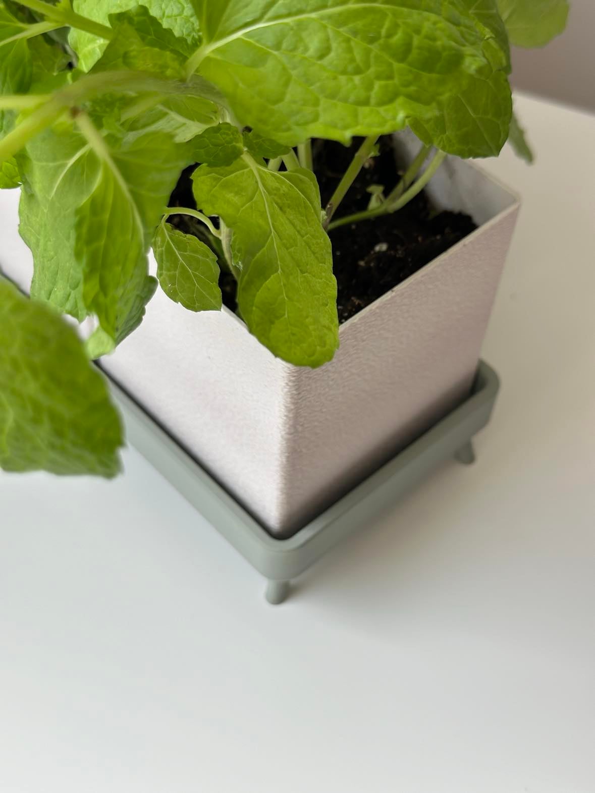 Herb planter Fuzzy