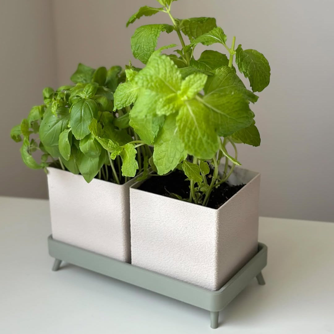 Herb planter Fuzzy