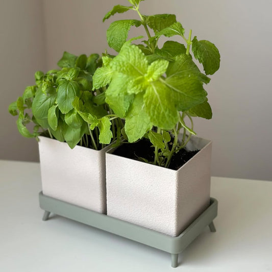 Herb planter Fuzzy