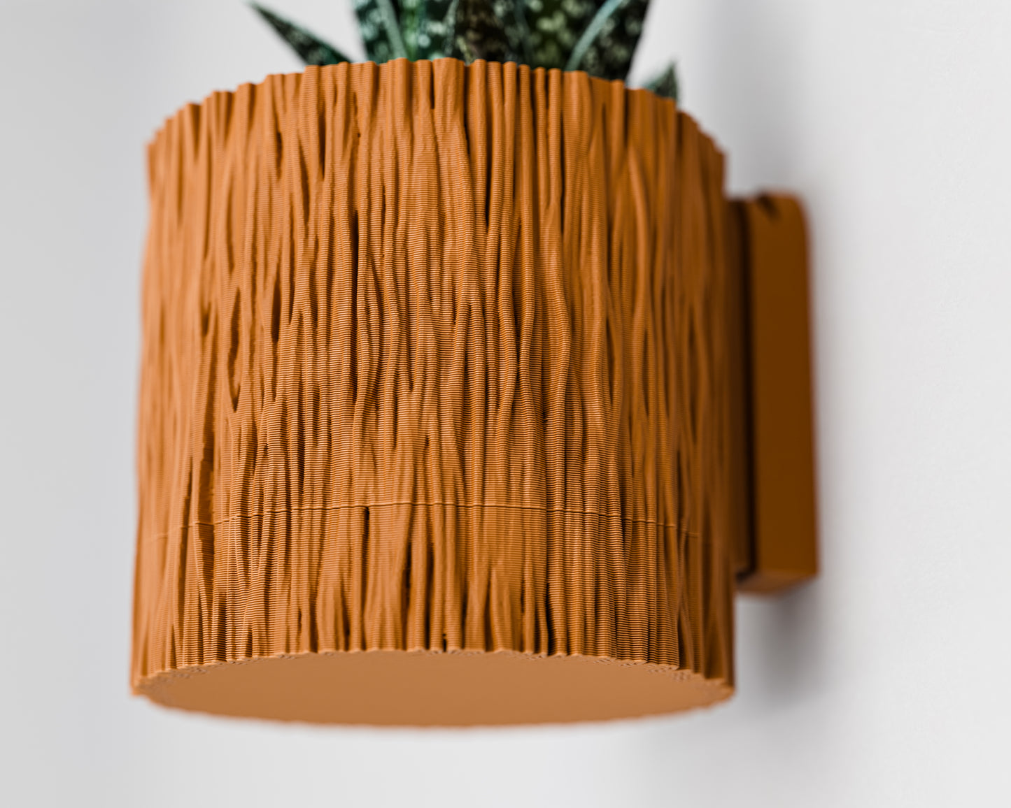 Wall Planter with Hidden Drip Tray