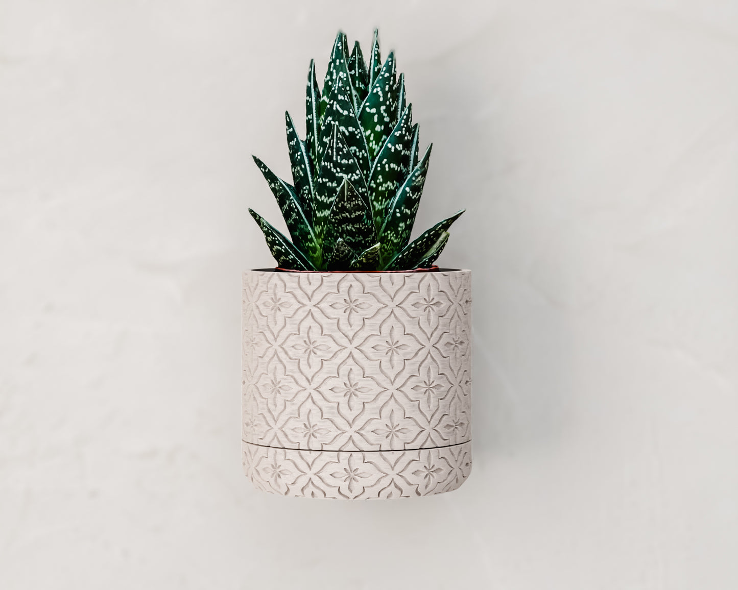 Wall Planter with hidden drip tray