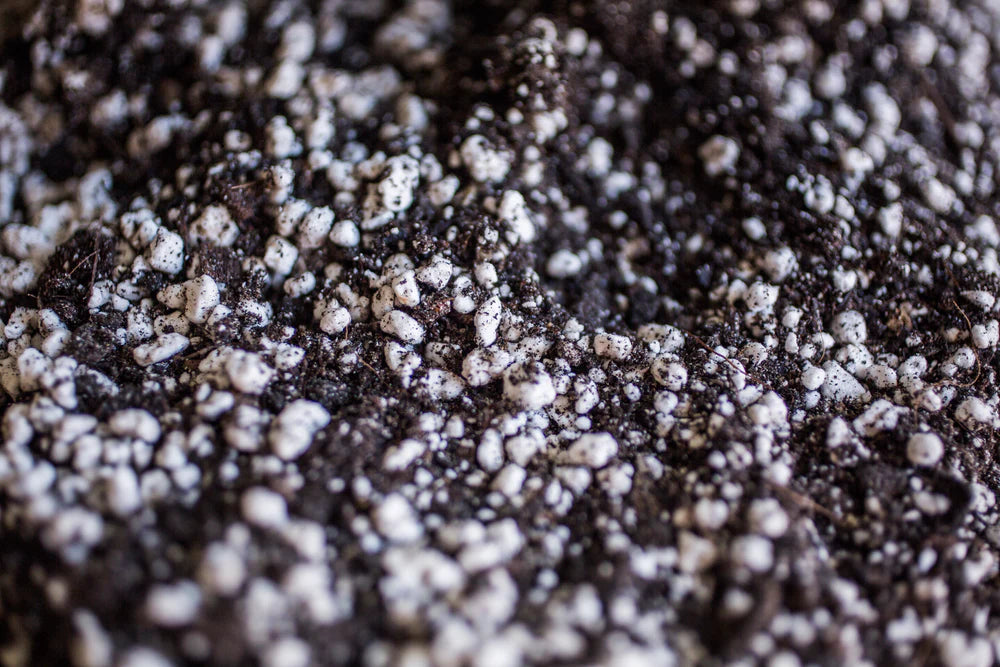 FINE SEEDING MIX (8.5L BAG)