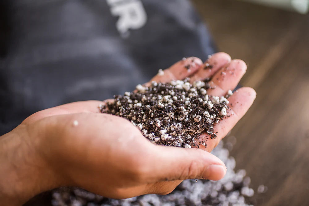 FINE SEEDING MIX (8.5L BAG)