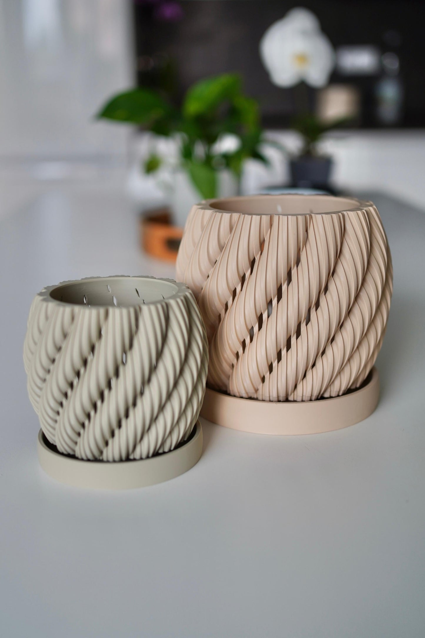 Orchid Planter The Aeris