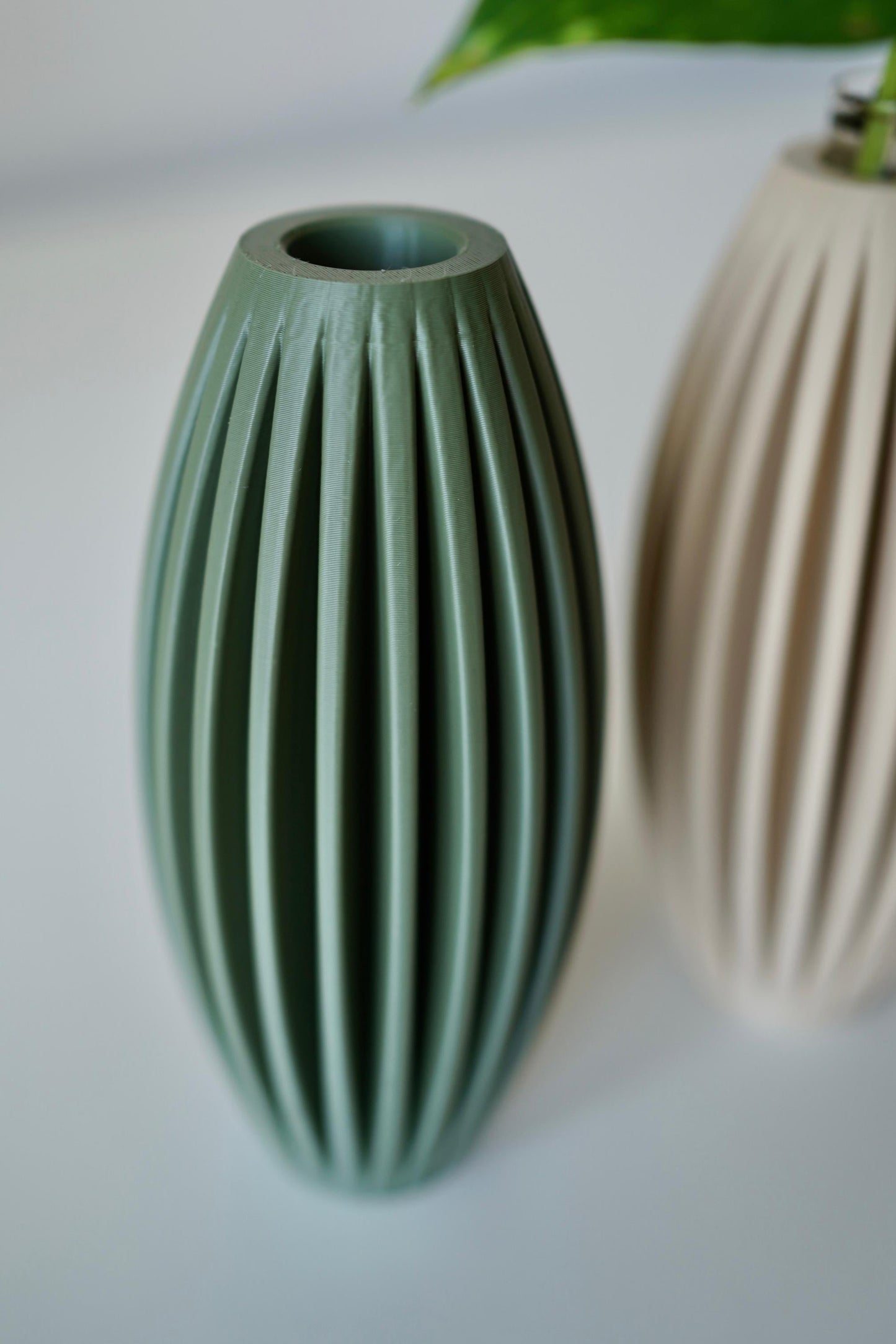 EGGIA plant propagation vase – Minimalist Plant Propagation Station-Set of 2 Propagation Vases