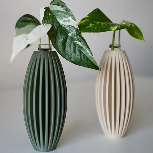 EGGIA plant propagation vase – Minimalist Plant Propagation Station-Set of 2 Propagation Vases