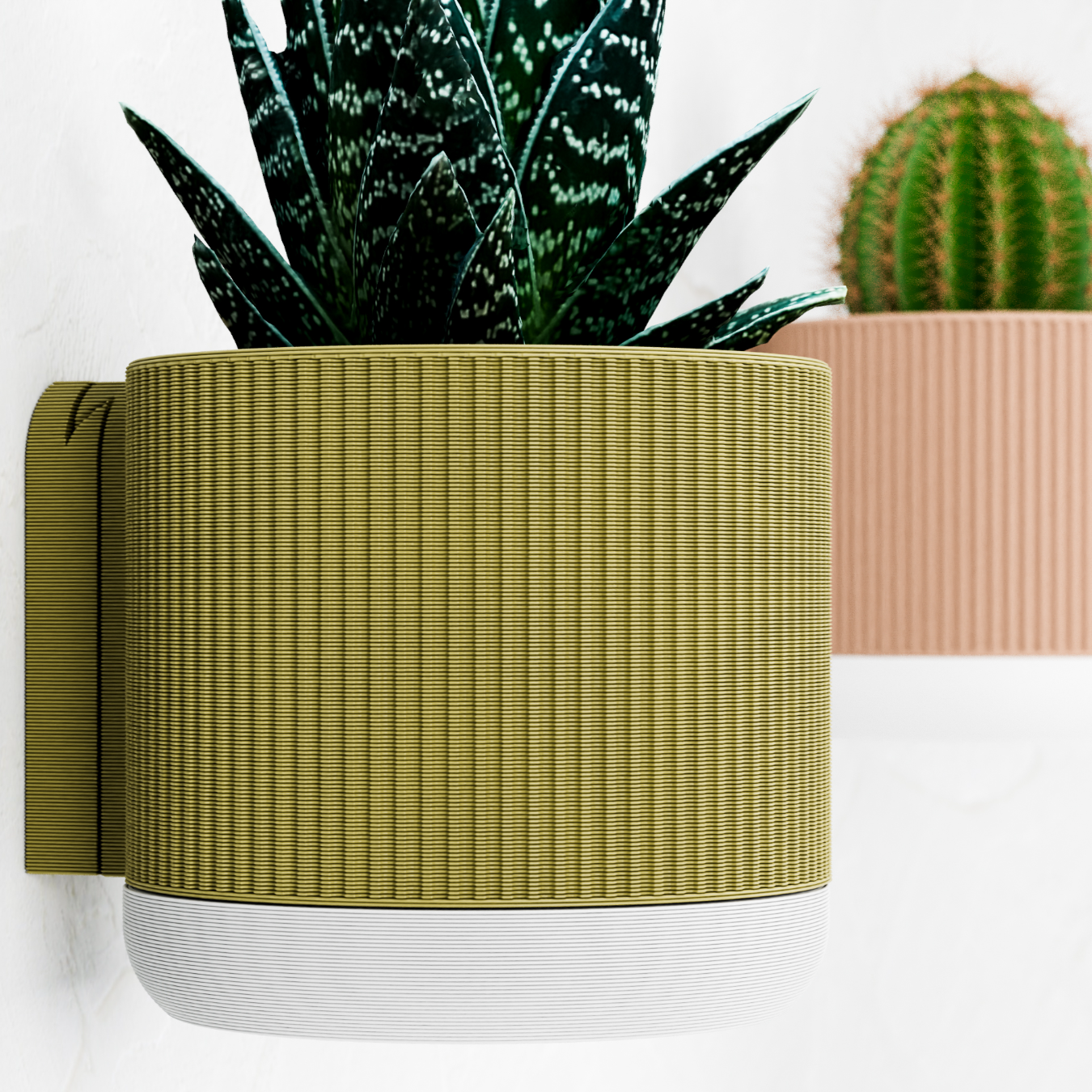 Wall Planter with Hidden Drip Tray