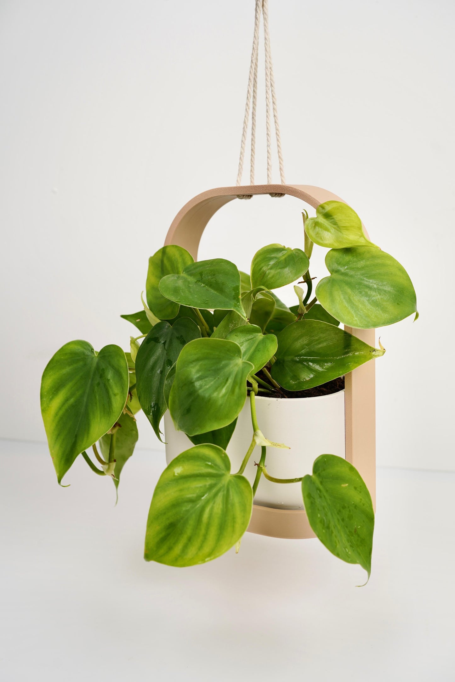 Hanging Planter