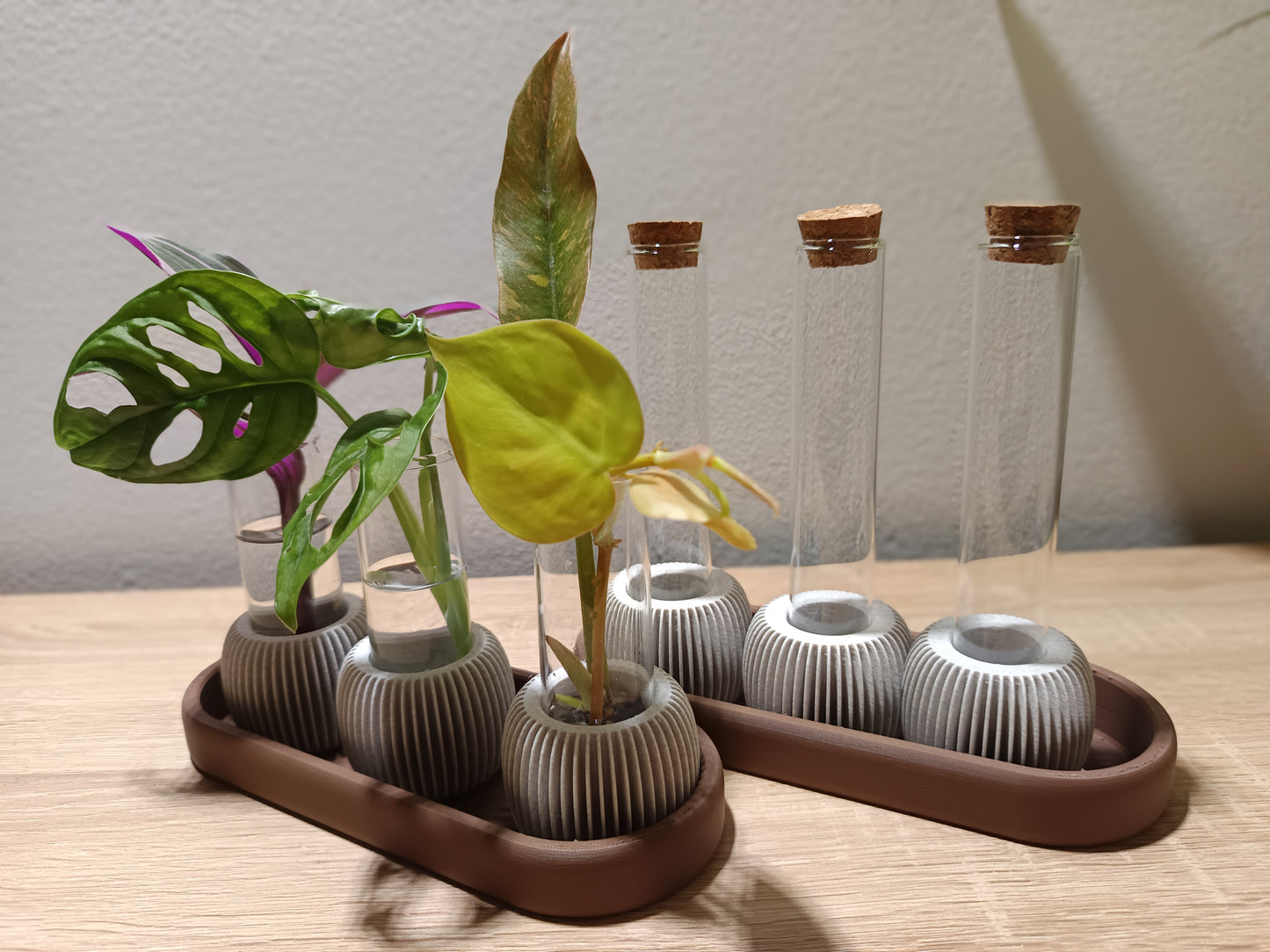 🌸 LUME Propagation Station