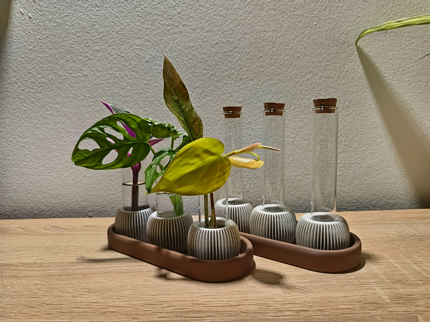 🌸 LUME Propagation Station