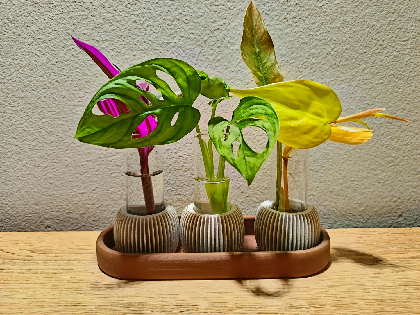 🌸 LUME Propagation Station