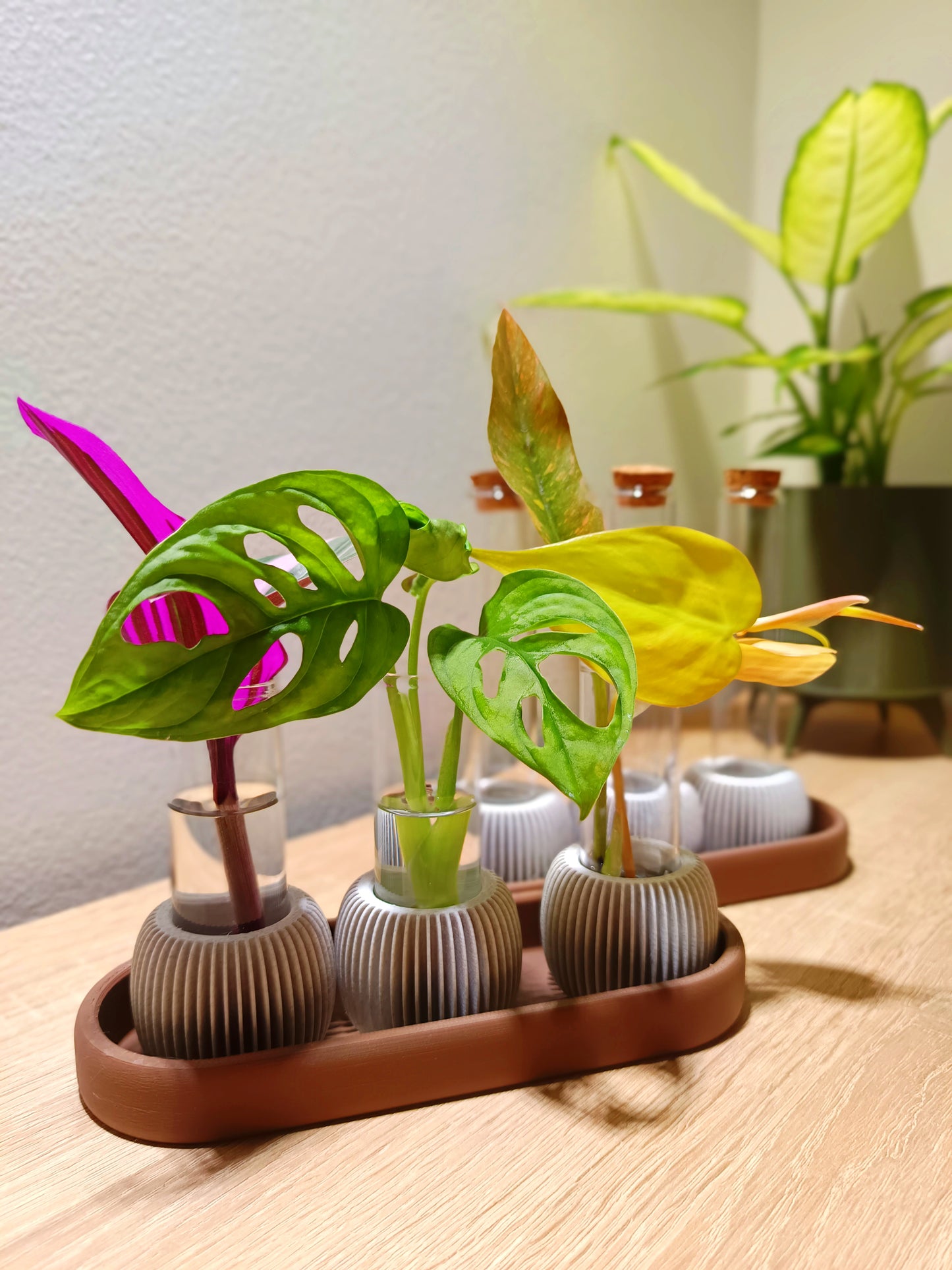 🌸 LUME Propagation Station