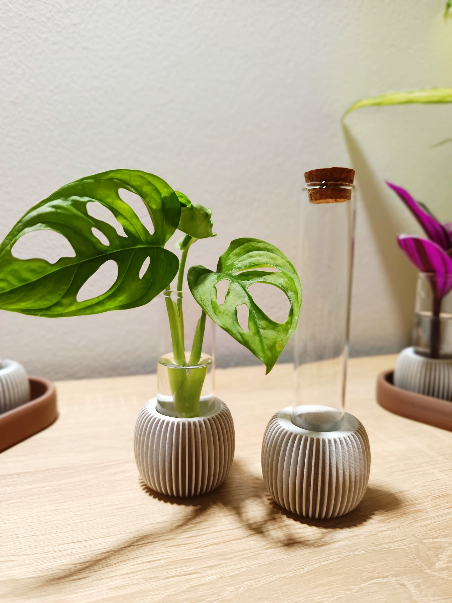 🌸 LUME Propagation Station