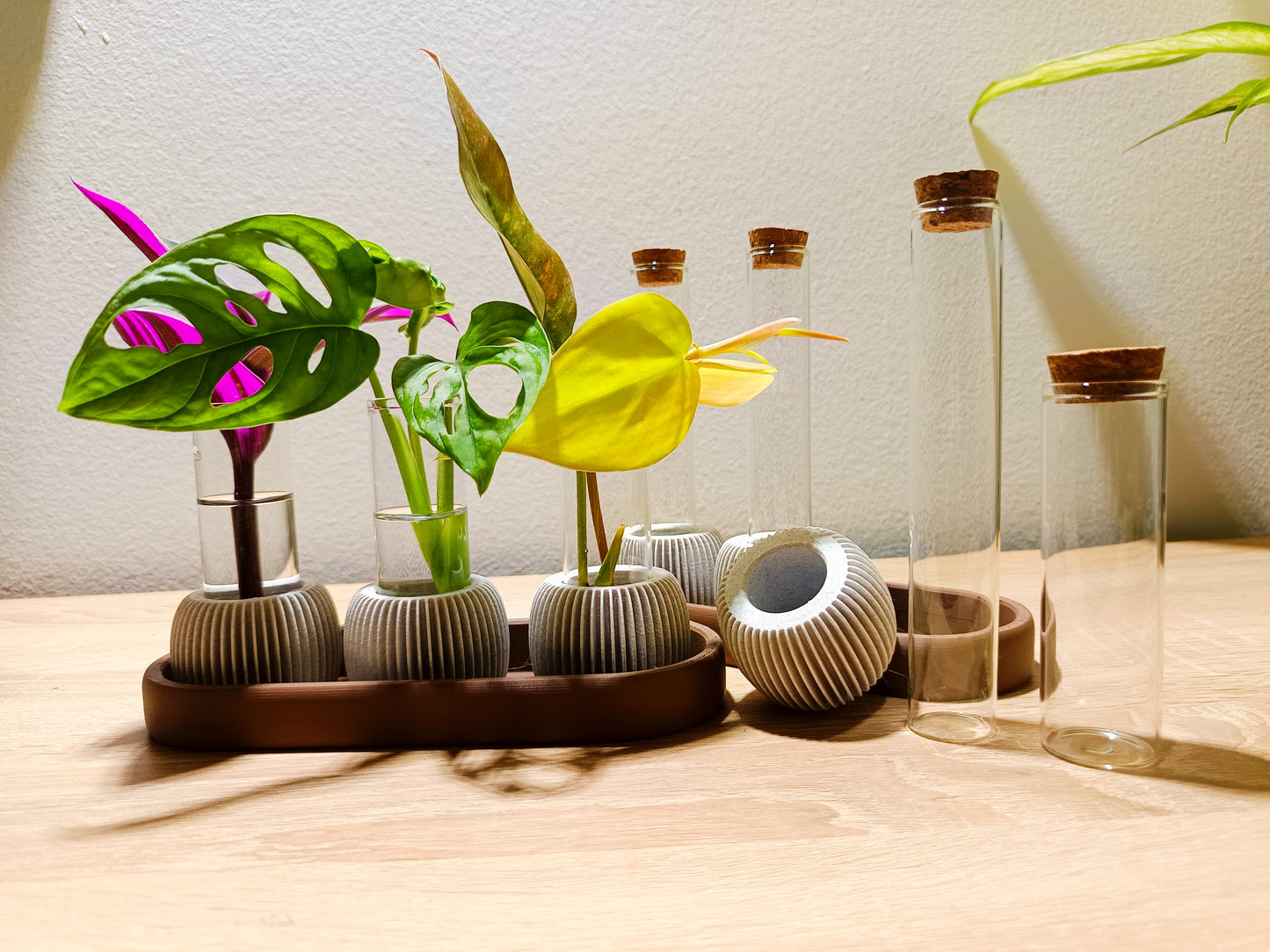 🌸 LUME Propagation Station