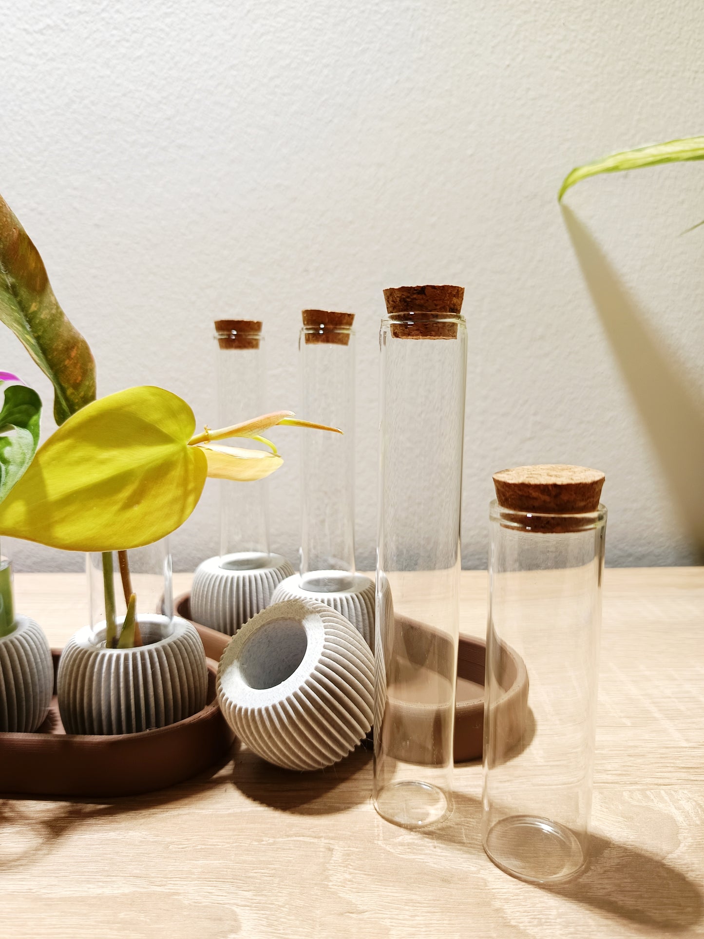 🌸 LUME Propagation Station