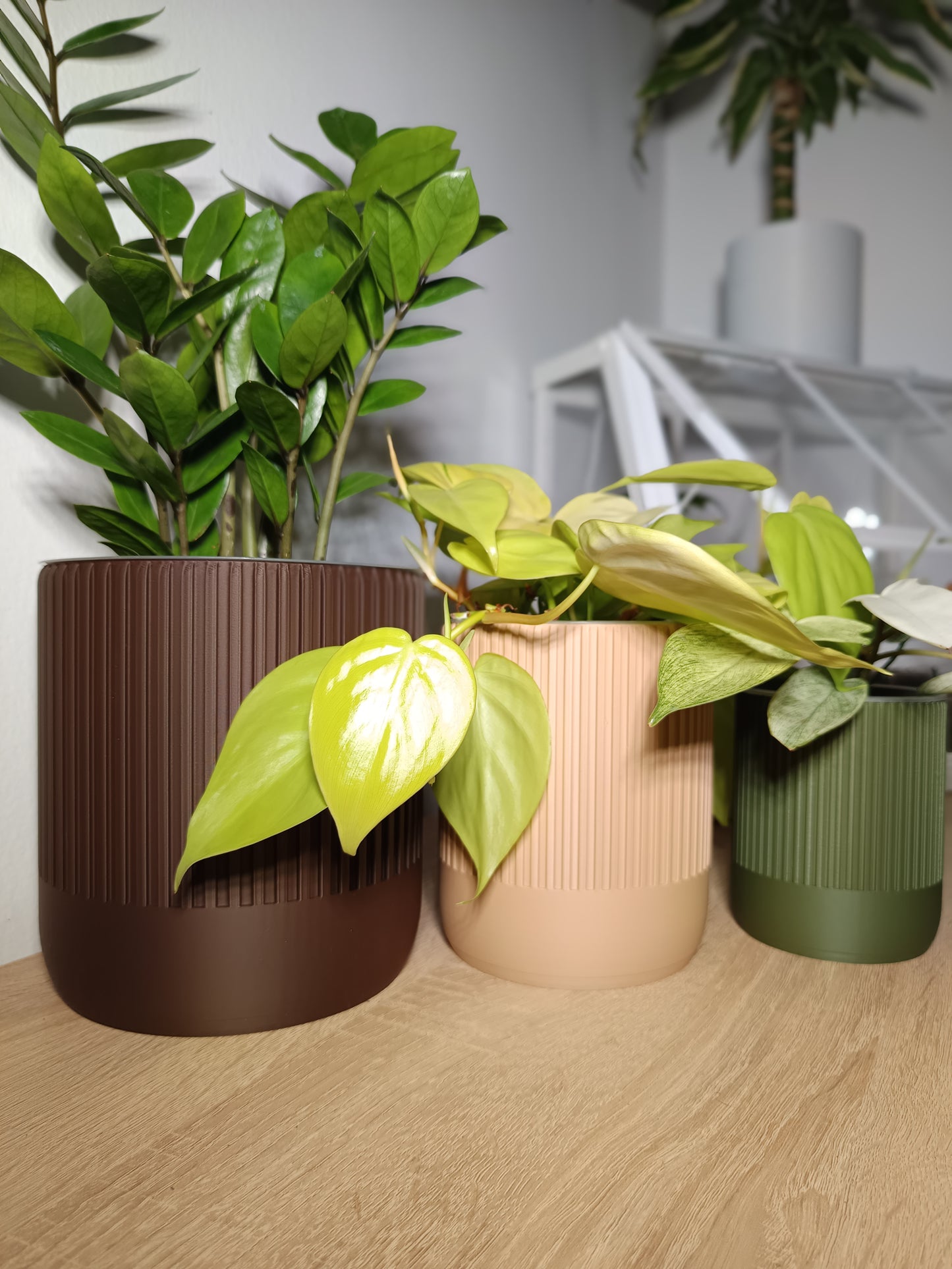 NestPot – Decorative Cage Cover for Aroid Nursery Pots