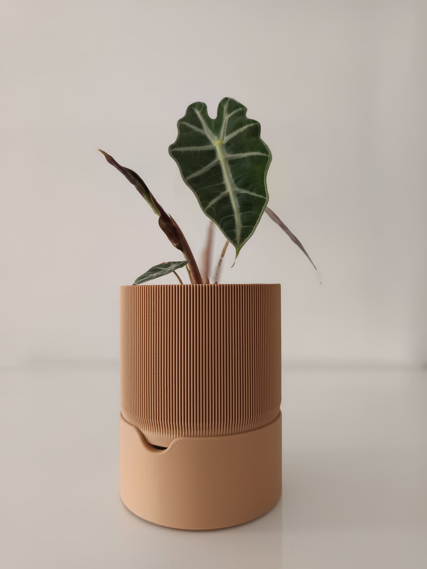 RILLIA Self-Watering Planter