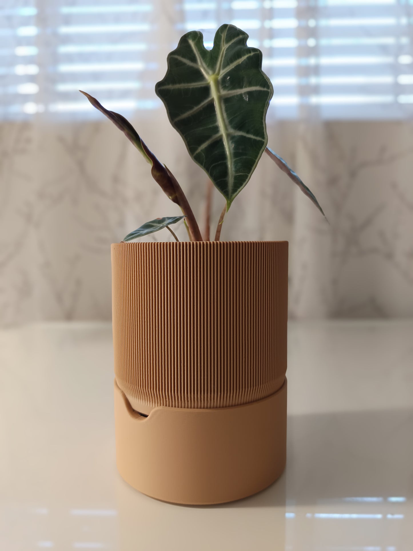 RILLIA Self-Watering Planter