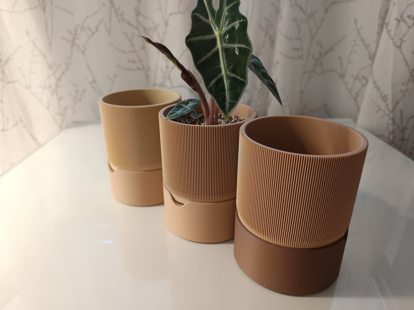 RILLIA Self-Watering Planter