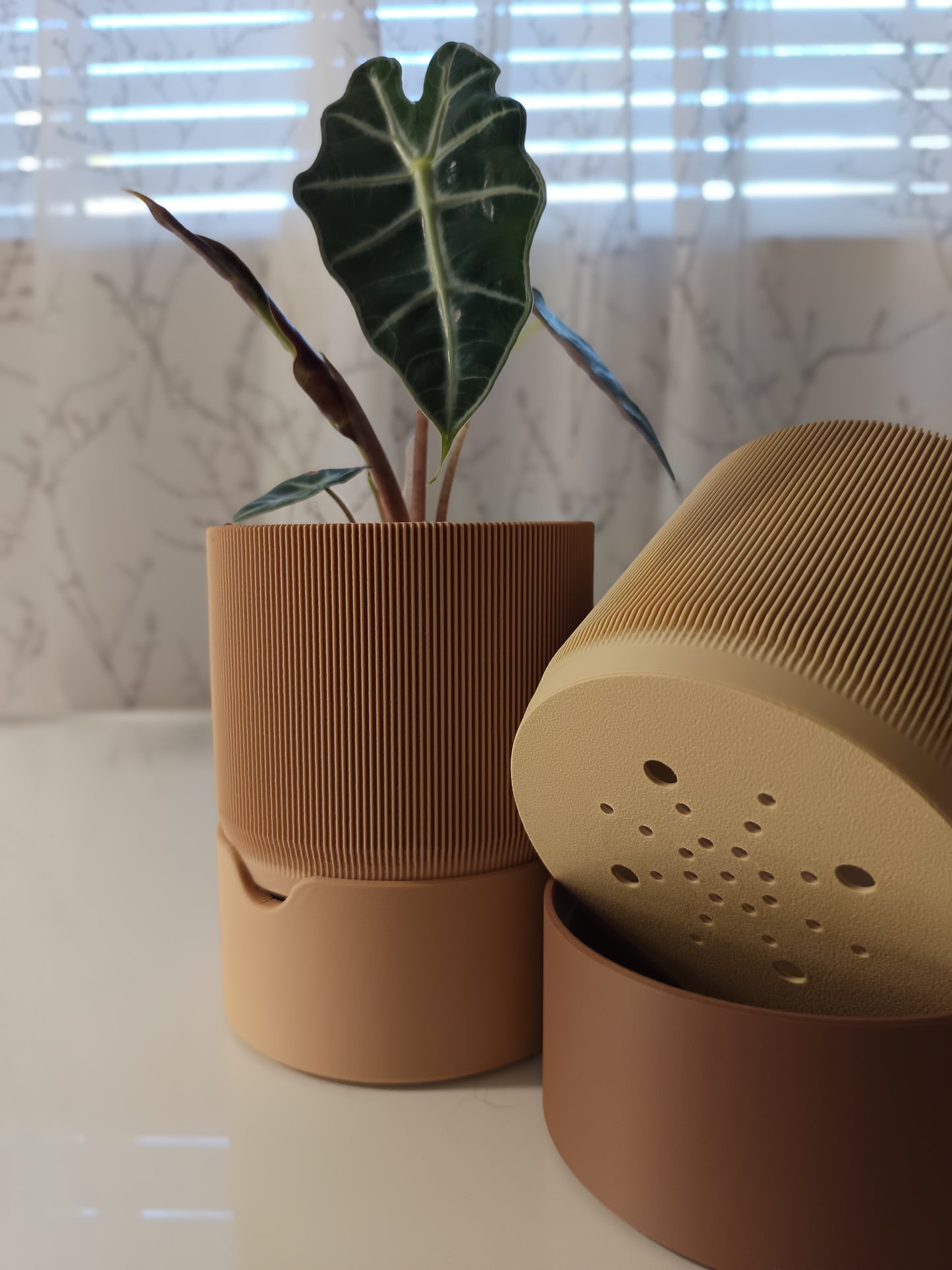 RILLIA Self-Watering Planter