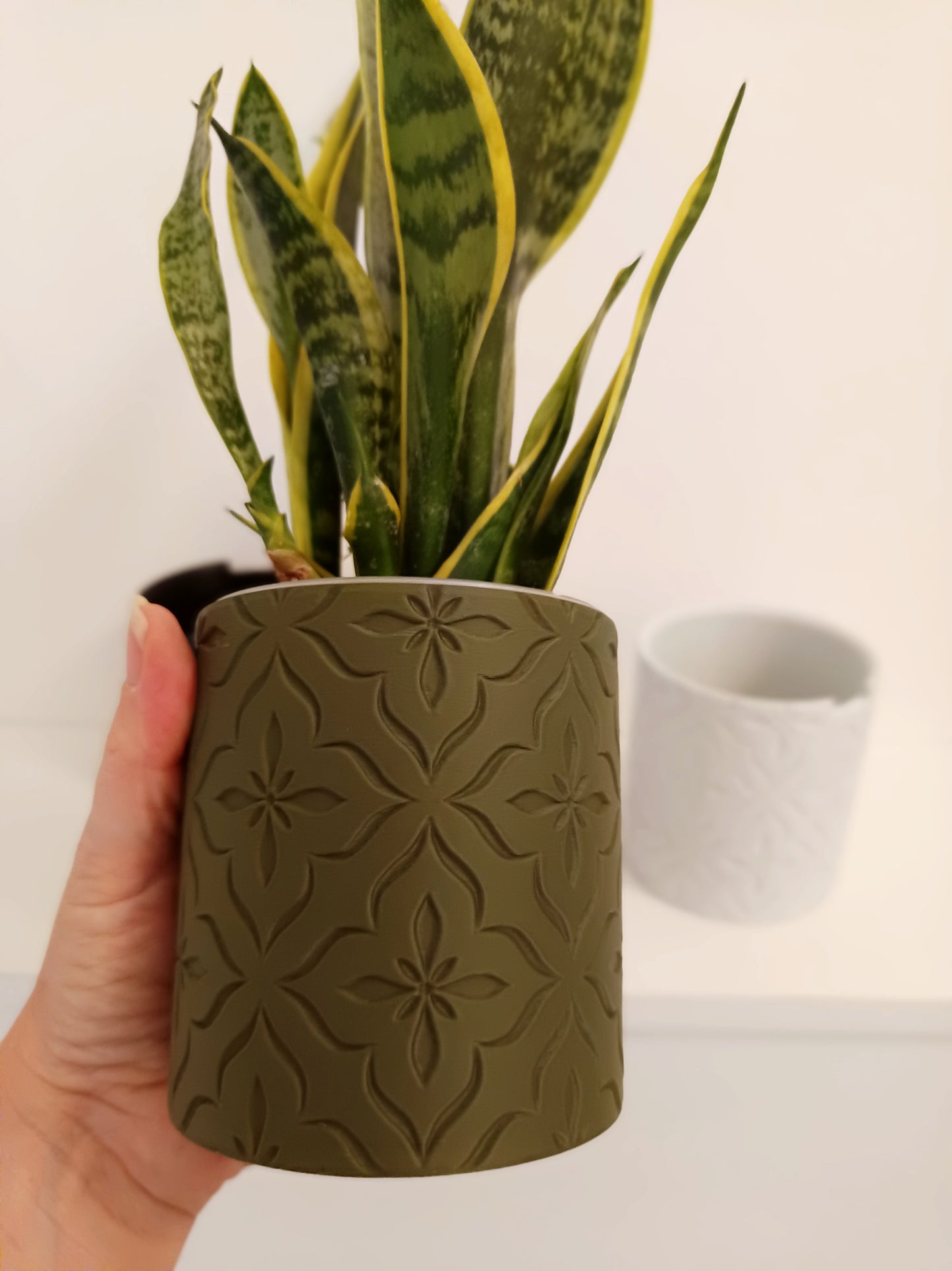 NestPot – Decorative Cage Cover for Aroid Nursery Pots