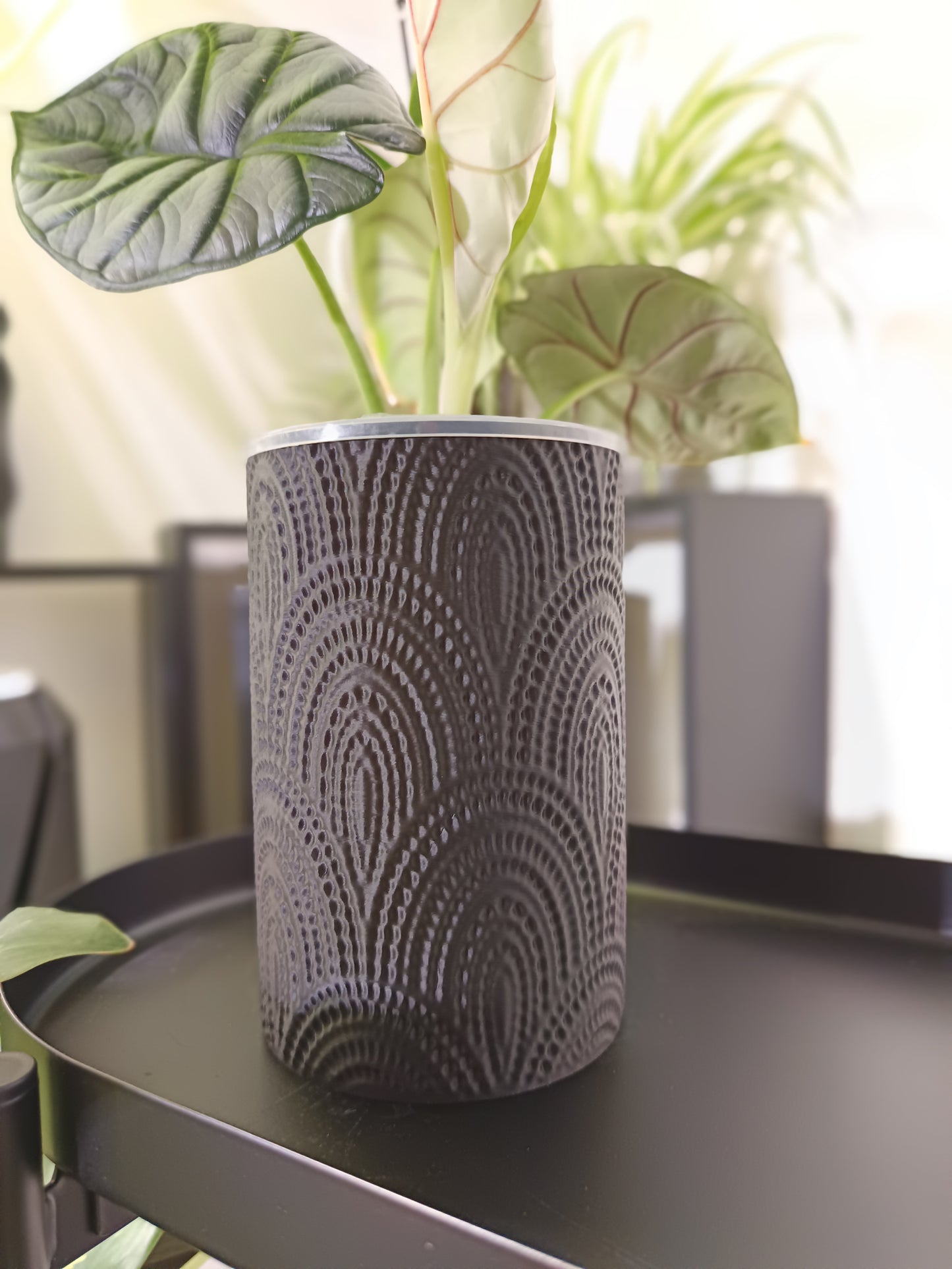 NestPot – Decorative Cage Cover for Aroid Nursery Pots