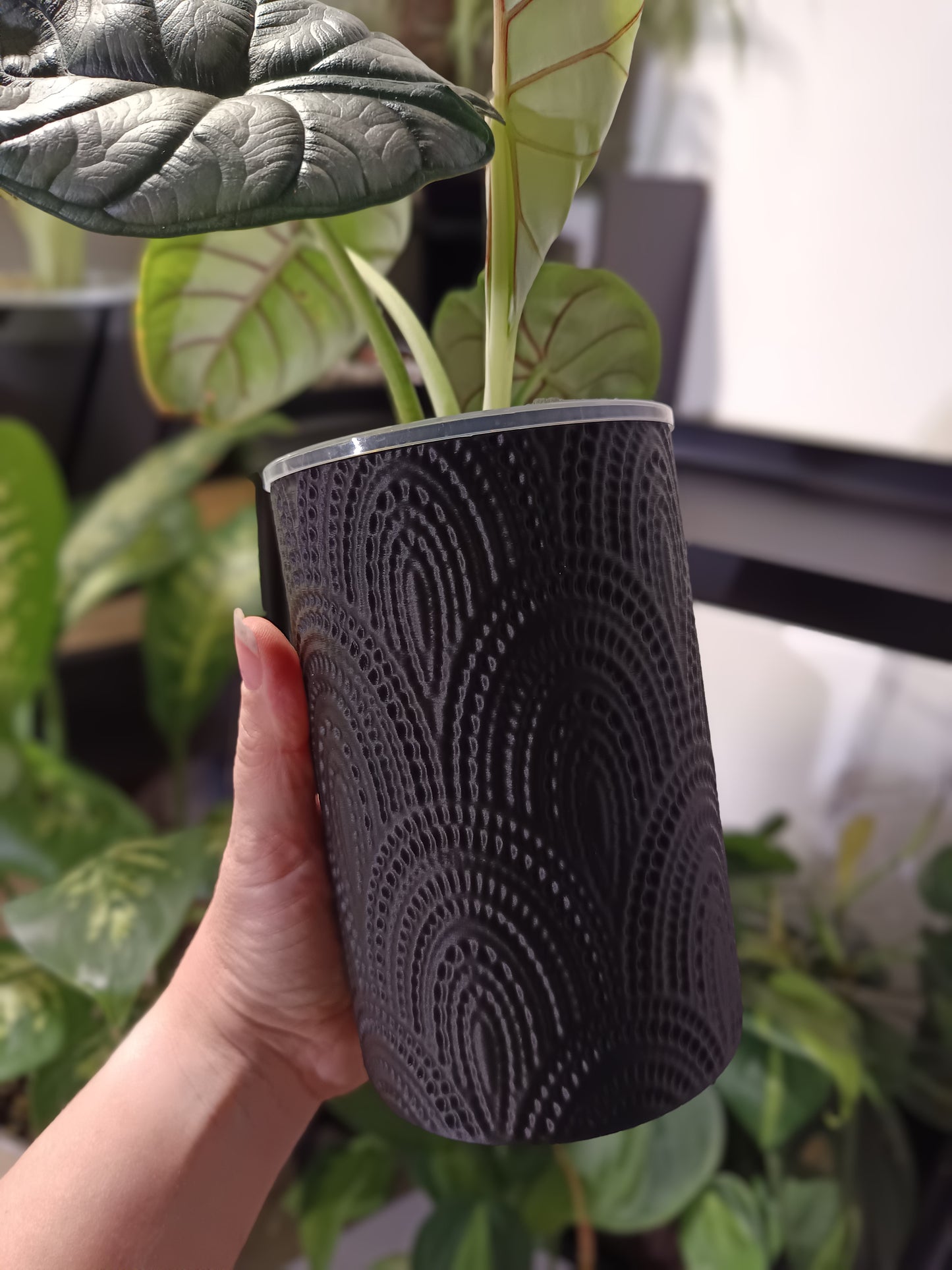 NestPot – Decorative Cage Cover for Aroid Nursery Pots